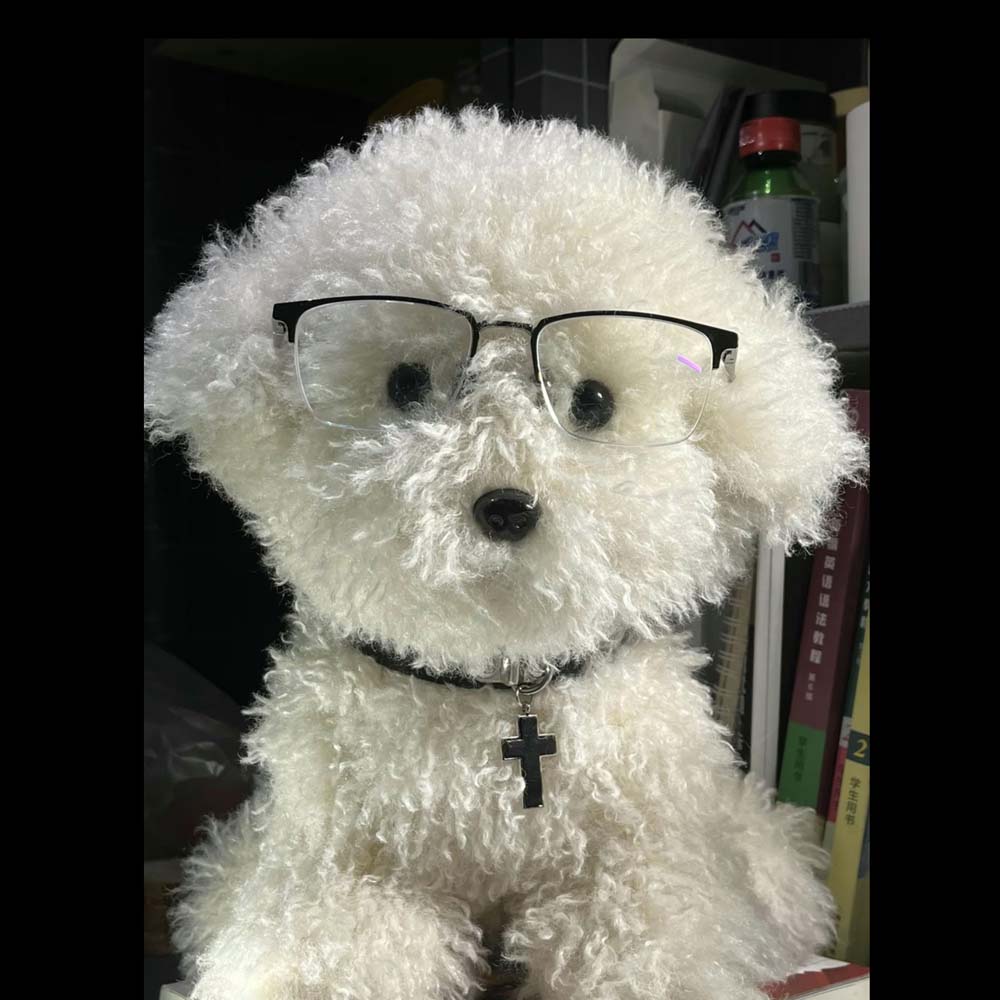 Kawaii Bichon Frise Stuffed Animal toy triver