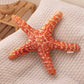 Conch Shell Starfish Plush Toy Stuffed Animal toy triver