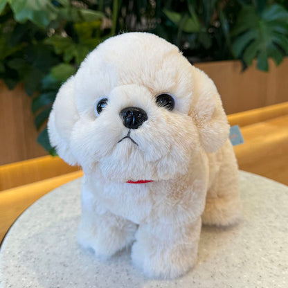 Cute Bichon Frise Stuffed Animal Plush toy triver