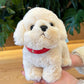 Cute Bichon Frise Stuffed Animal Plush toy triver