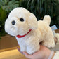 Cute Bichon Frise Stuffed Animal Plush toy triver