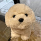 Cute Bichon Frise Stuffed Animal Plush toy triver