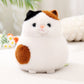 Cute Cat Plush toy triver