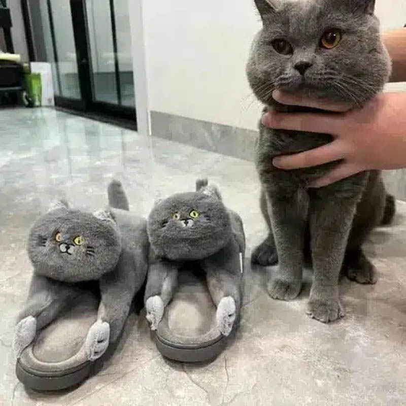 Cute Cat Slippers toy triver