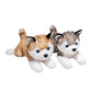 Cute Husky Plush Toy Toy Triver