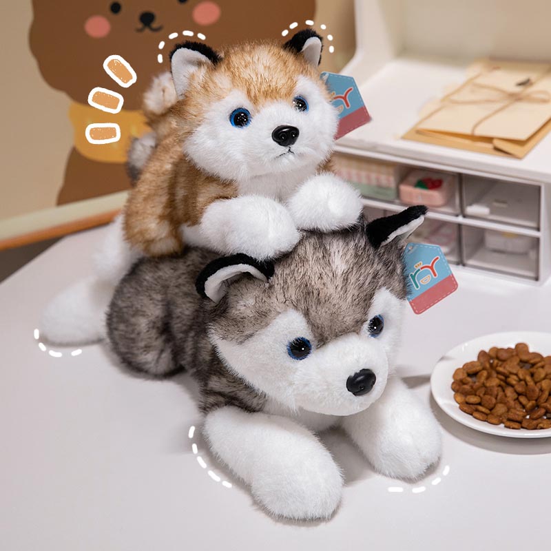 Cute Husky Plush Toy Toy Triver