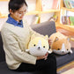 Cute Shiba Inu Corgi Plush Toy Pillows toy triver