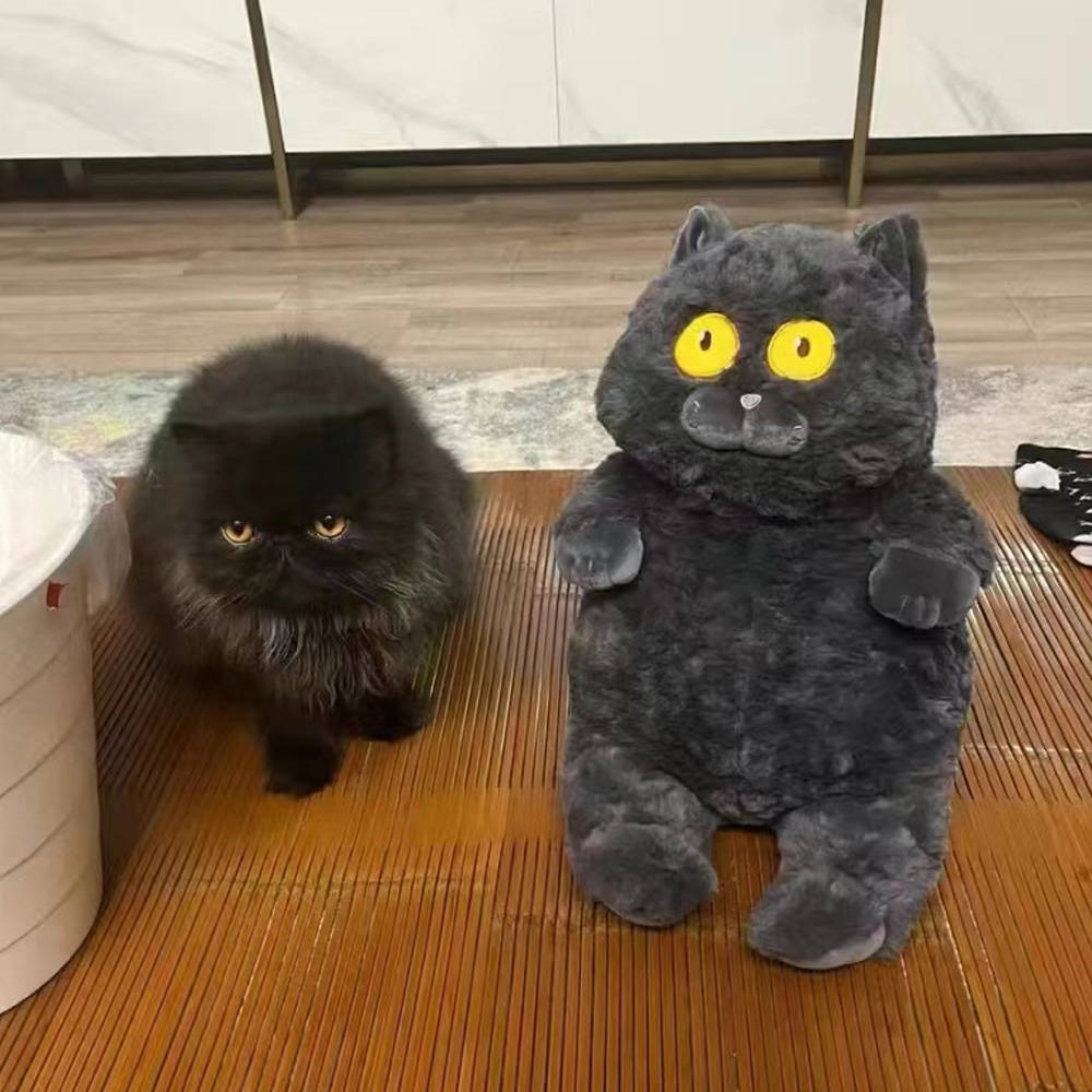 Funny Black Cat Plush Toy Stuffed Animal Pet Dog Cat Toys toy triver