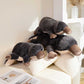 Giant Platypus Plush Toy toy triver