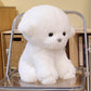 Kawaii Bichon Frise Plush Toy Stuffed Animal toy triver