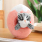 Kawaii Cat in Fruit Plush Toy-Quirky Fruit & Pet Fusion for Decor toy triver