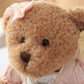 Kawaii Flower Basket Teddy Bear Plush Toys Stuffed Animals Doll toy triver