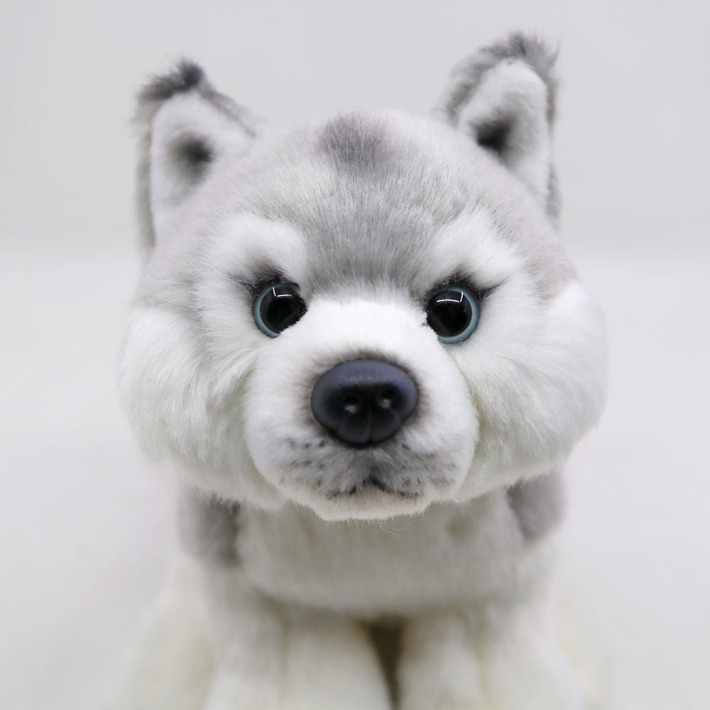 Mini Husky Dog Plush Toy Stuffed Animal toy triver