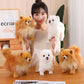 Realistic Dog Pomeranian Stuffed Animal Plush toy triver
