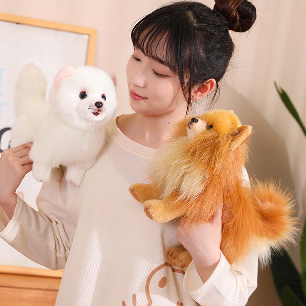 Realistic Dog Pomeranian Stuffed Animal Plush toy triver