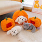 Kawaii Cat Dog Pumpkin Kennel Plush Toy Toy Triver