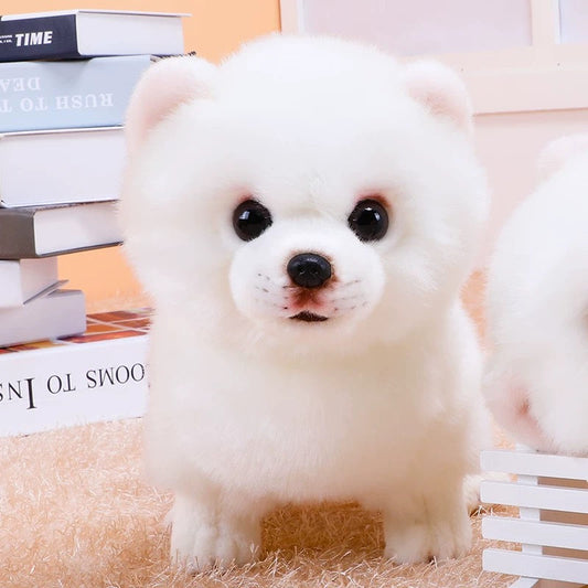 Realistic Pomeranian Plush Toy Stuffed Doll toy triver