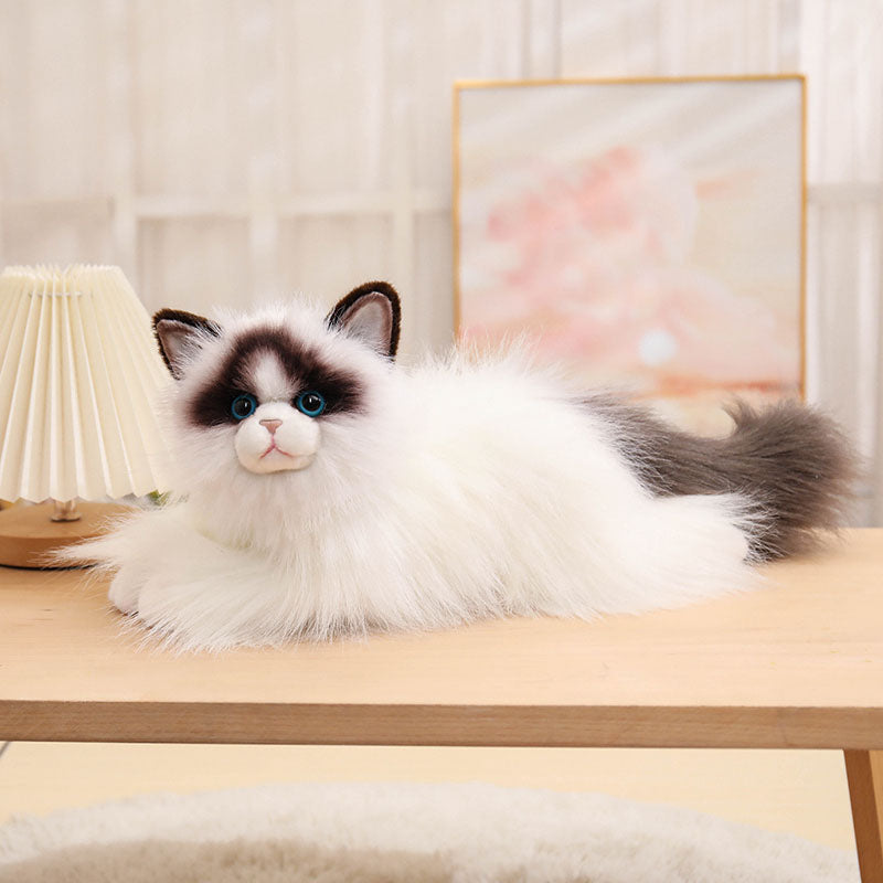 Realistic Ragdoll Cat Plush toy triver