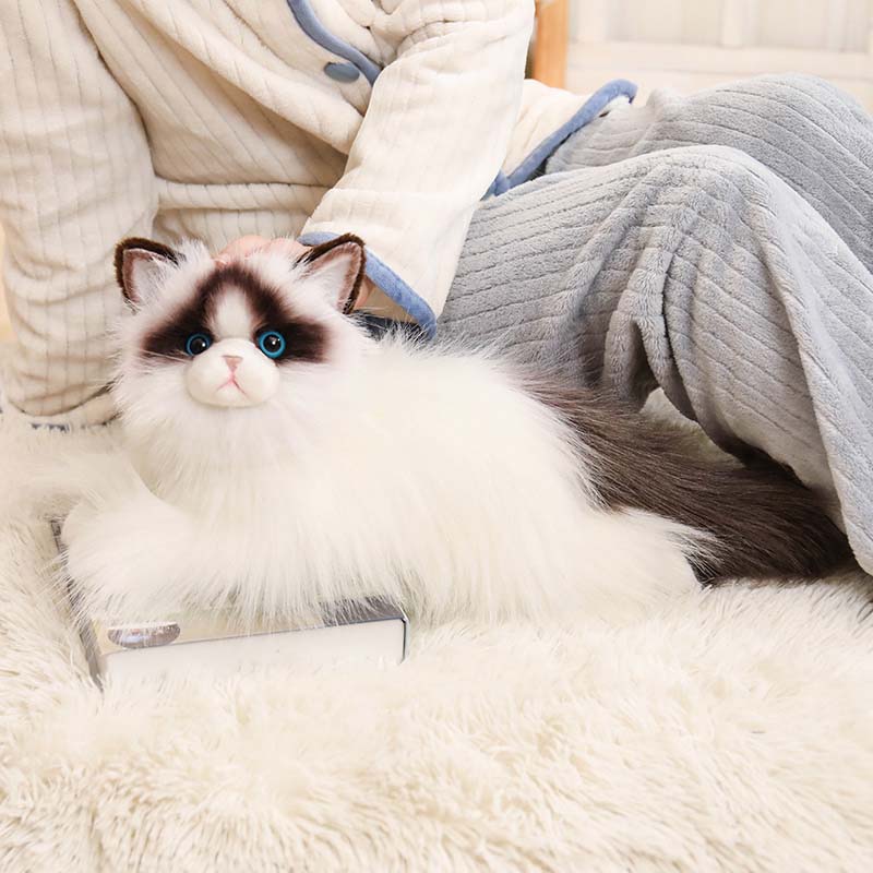 Realistic Ragdoll Cat Plush toy triver