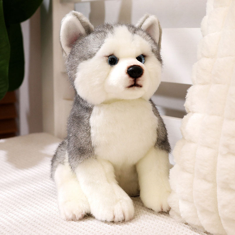 Siberian Husky Plush Toy toy triver