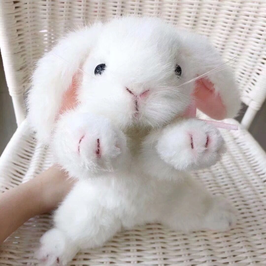 White Rabbit Bunny Stuffed Animal Plush toy triver