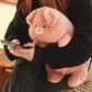 Kawaii Pig Plush Toy Piggy Stuffed Animal toy triver